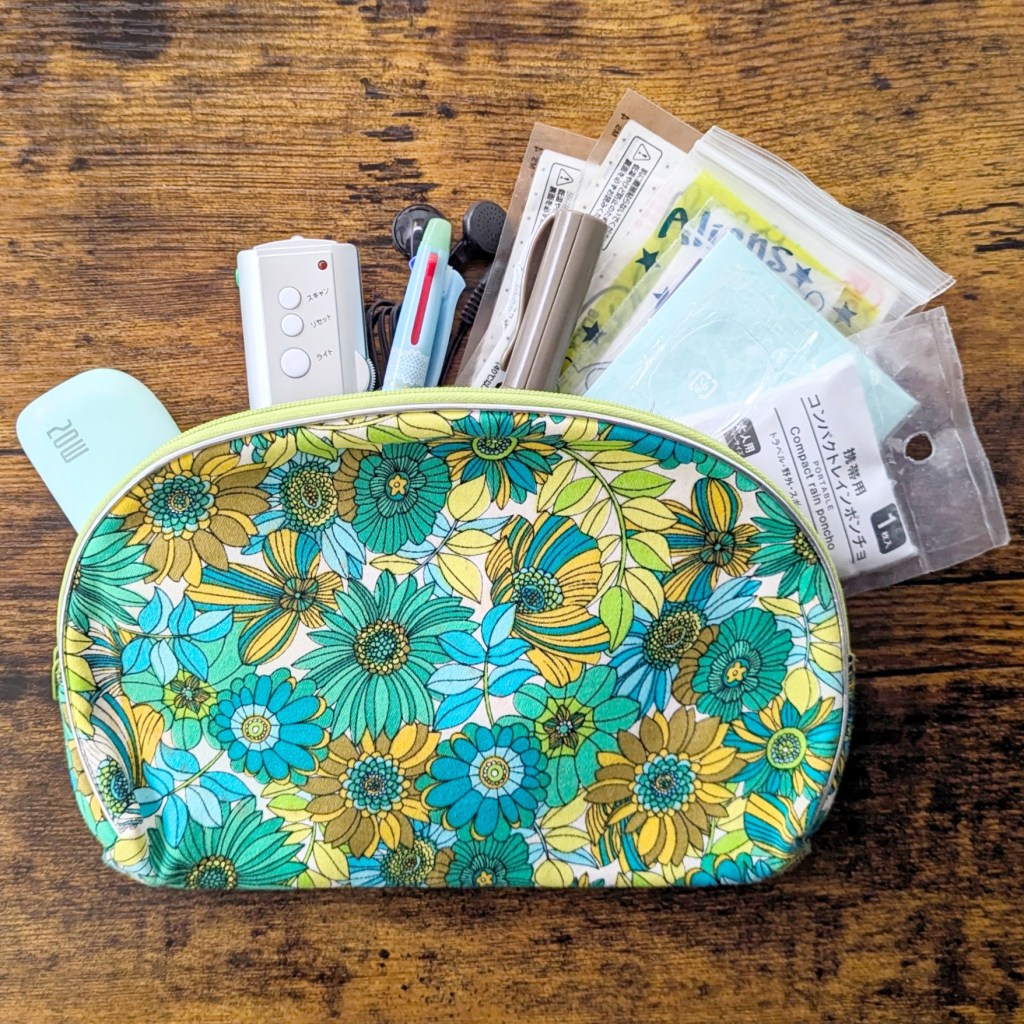 What I Always Carry in My Small Emergency&nbsp;Pouch